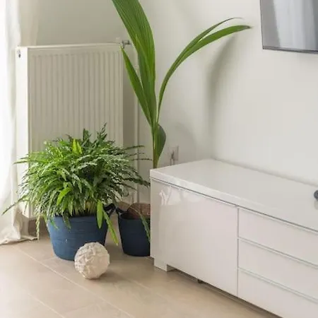 The Hostmaster Pulse Apartment *
